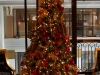 Executive Suite Reception Tree